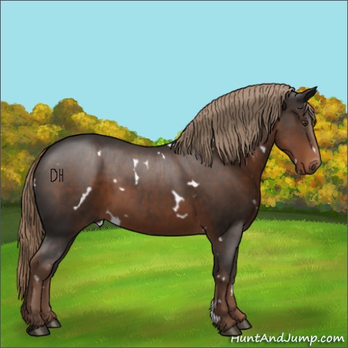 Horse Color:White Spotted Liver Chestnut 