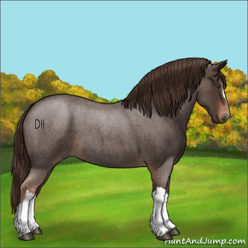 Horse Color:Liver Red Roan 