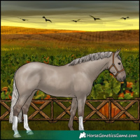 Horse Color:Silver Grullo