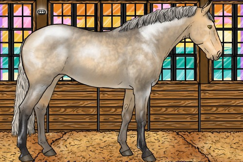 Horse Color:Silver Buckskin Roan Dun Rabicano