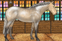 Horse Color:Silver Buckskin Roan Dun Rabicano 