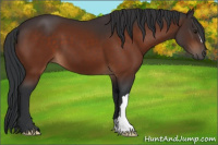 Horse Color:Brown 