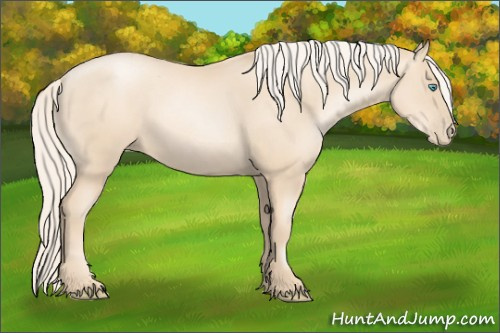 Horse Color:Gold Cream Champagne Pearl 
