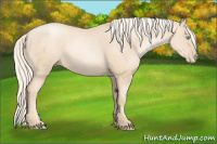 Horse Color:Gold Cream Champagne Pearl 