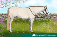 Horse Color:Perlino Dun 