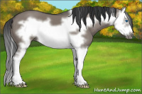 Horse Color:Grullo Splash Frame 