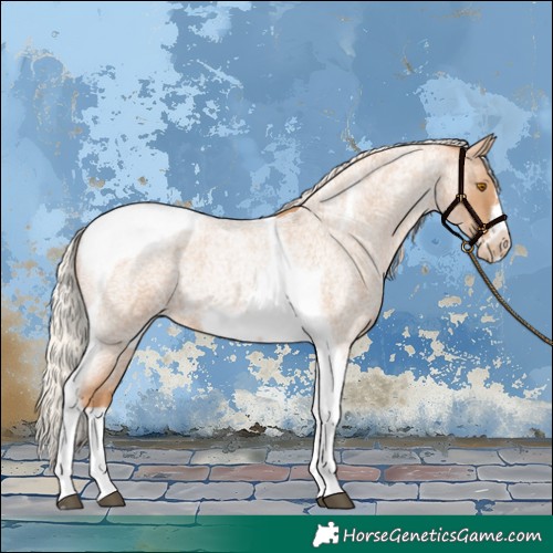 Horse Color:Silver Blue Roan Pearl Tobiano Frame 