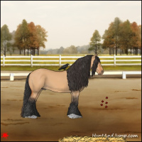 Horse Color:Bay Dun
