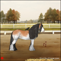 Horse Color:White Spotted Bay 