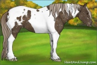Horse Color:Chocolate Palomino Tobiano Snowflake Varnish 