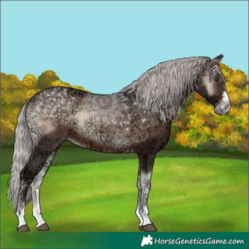 Horse Color:Silver Brown Ice Onyx Mushroom 