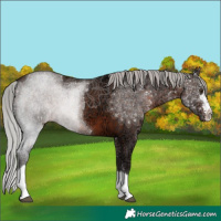 Horse Color:Silver Brown Ice Mushroom 