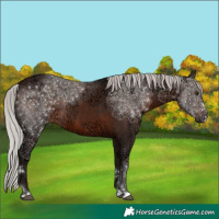Horse Color:Silver Brown Ice Mushroom 