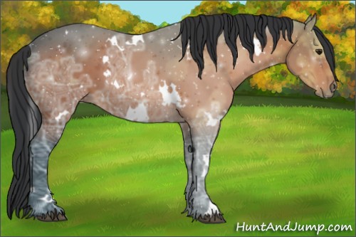 Horse Color:White Spotted Brown Ice 