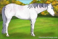 Horse Color:Watercolor White Spotted Sable Champagne Ice Splash 
