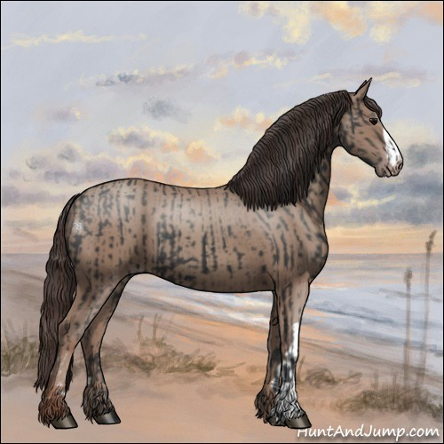 Horse Color:Black  and Classic Champagne 