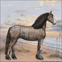 Horse Color:Black  and Classic Champagne 