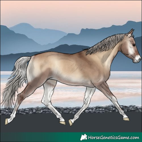 Horse Color:Silver Bay Onyx Rabicano 