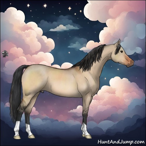 Horse Color:Brown Dun 