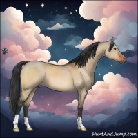 Horse Color:Brown Dun 