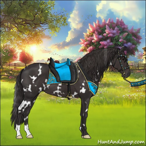 Horse Color:White Spotted Smoky Black 