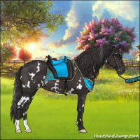 Horse Color:White Spotted Smoky Black 