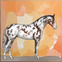 Horse Color:White Spotted Silver Brown Sabino Near Leopard 
