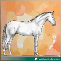 Horse Color:Gray Brown Tobiano