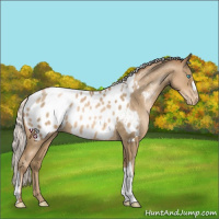 Horse Color:Silver Smoky Black Pearl Appaloosa 