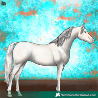 Horse Color:Silver Classic Cream Champagne Roan Pearl Dun Sabino 