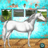 Horse Color:White Spotted Silver Sable Champagne Pearl Dun Appaloosa 
