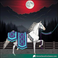 Horse Color:White Spotted Gold Champagne Roan Pearl Dun 