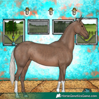 Horse Color:Silver Black 