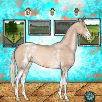 Horse Color:White Spotted Chocolate Palomino Pearl 