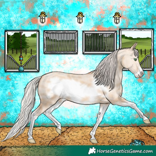 Horse Color:Silver Classic Champagne Dun Sabino Splash Frame 