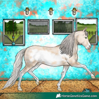Horse Color:Silver Classic Champagne Dun Sabino Splash Frame 