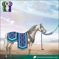 Horse Color:Silver Bay Roan Dun