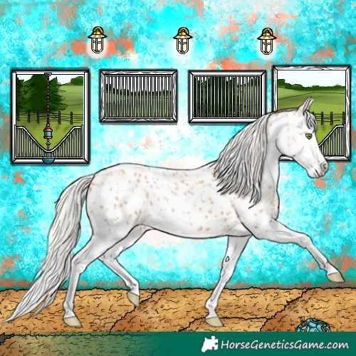 Horse Color:White Spotted Silver Bay Pearl Splash Near Leopard 