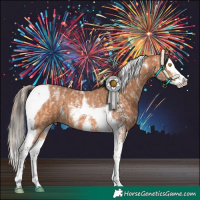 Horse Color:Bay Pearl Sabino Splash Tobiano  and Bay Sabino Splash Tobiano 