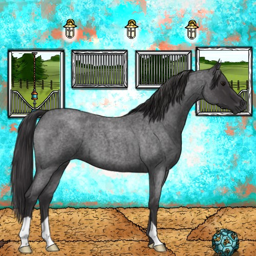 Horse Color:Smoky Blue Roan