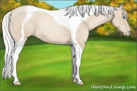 Horse Color:Silver Smoky Black Pearl Tobiano 