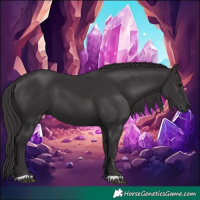Horse Color:Smoky Black 