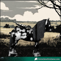 Horse Color:Void Brown Chinchilla Onyx Splash Tobiano 