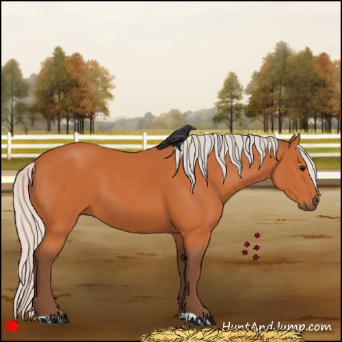 Horse Color:Silver Bay