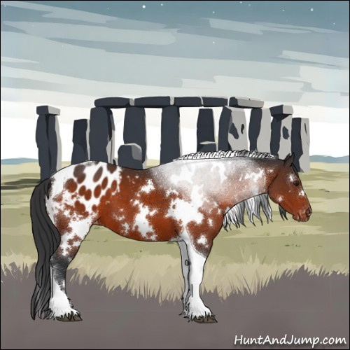 Horse Color:White Spotted Brown Tobiano Appaloosa 