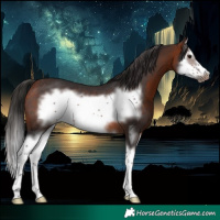 Horse Color:Bay Sabino Splash Frame Rabicano