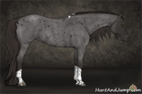 Horse Color:Liver Red Roan Tobiano 