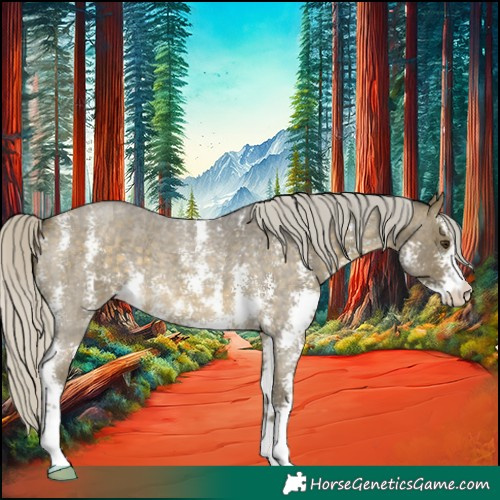 Horse Color:Silver Buckskin Roan Mushroom Sabino 