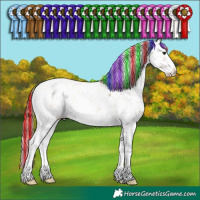 Horse Color:Painted Plaid  Red Onyx Sabino Appaloosa 