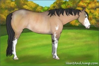 Horse Color:Brown Dun Sabino Rabicano